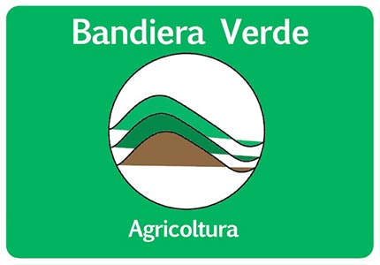 bandiera verde